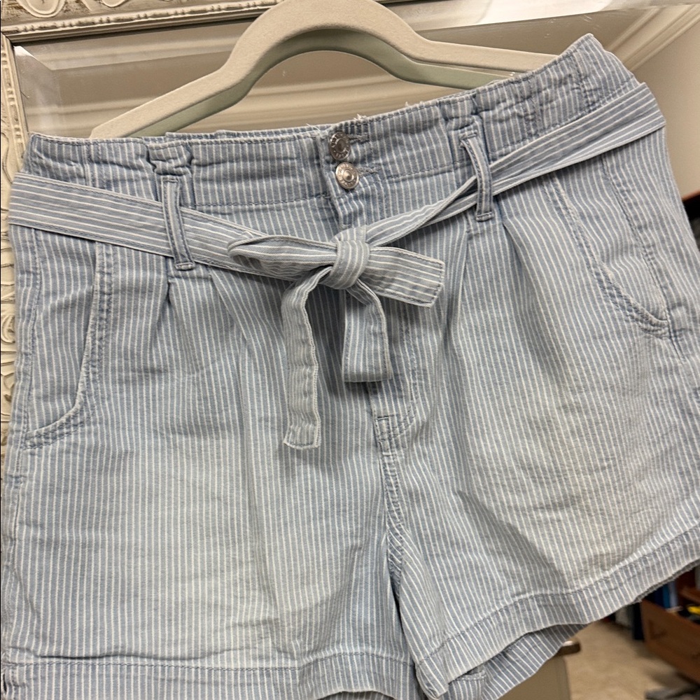 American Eagle Outfitters Blue Striped High Waist Shorts